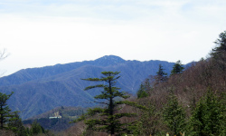 一本立